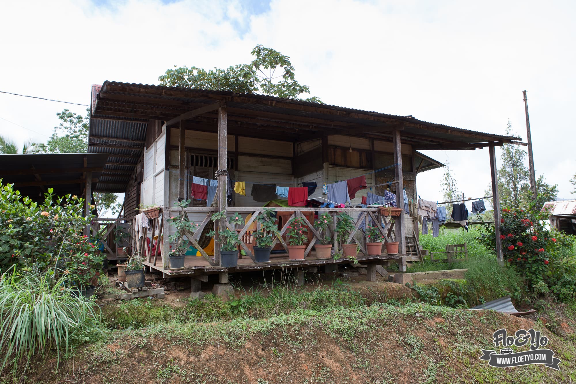 Les Hmong de Cacao en Guyane. Un village tournée vers le Laos