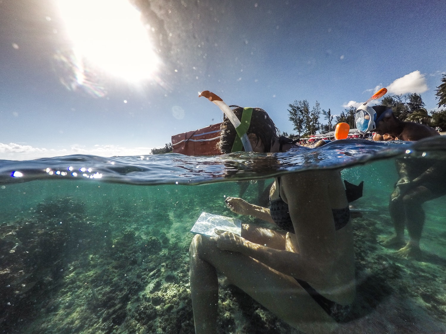 Découvrir le lagon de l'ile de la Réunion en le dessinant...sous l'eau !