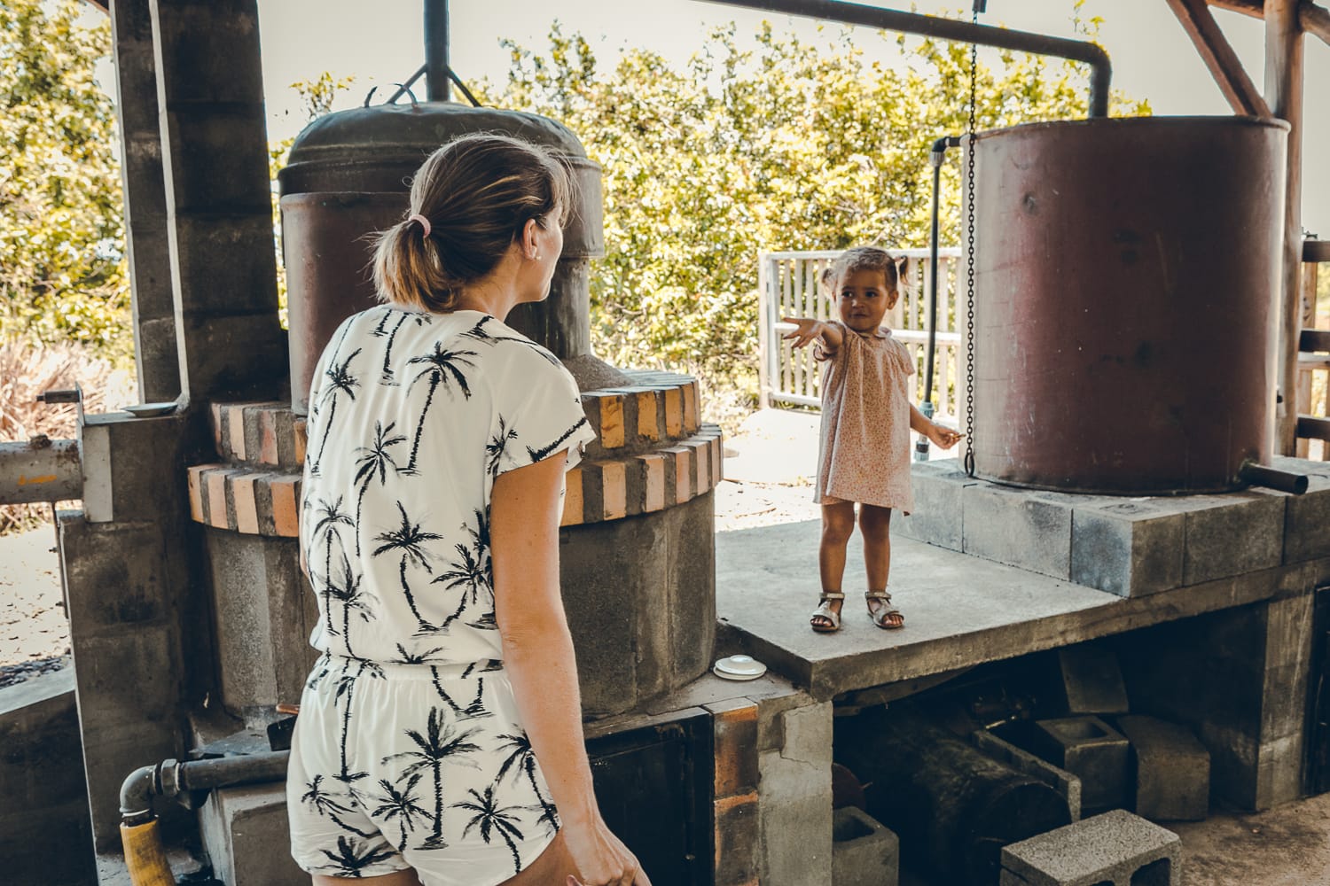 Activité en famille à l’île de la Réunion : visiter le domaine du café grillé